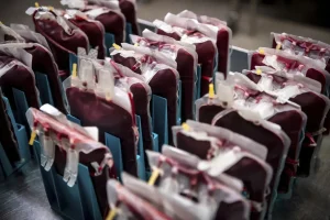 A stock image of blood units stored in a cold storage room. | Sina Schuldt/dpa via AP/dpa via AP