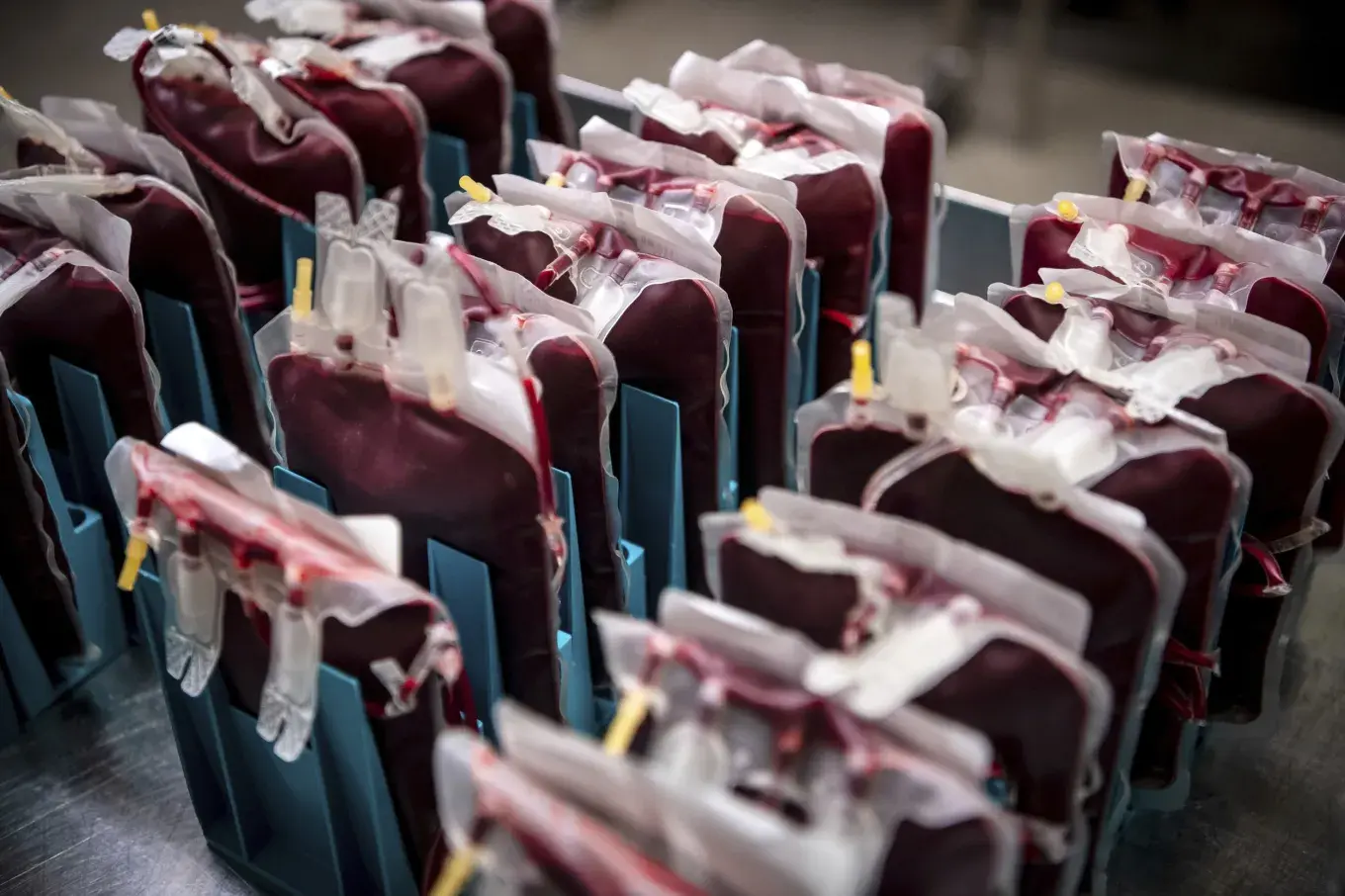 A stock image of blood units stored in a cold storage room. | Sina Schuldt/dpa via AP/dpa via AP