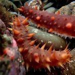 F3A3Y5GVEK2VLOMNI5HLS5OJKU-1024x768